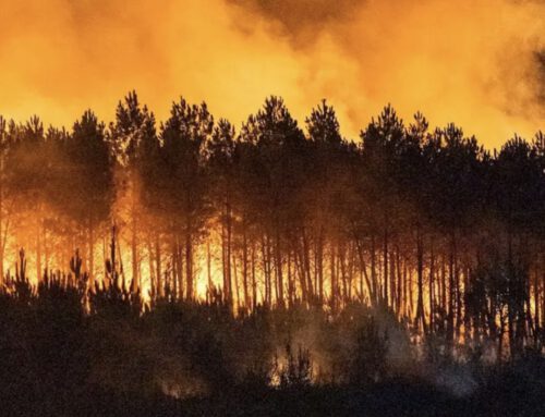 Feuer in Südfrankreich: DFG Duisburg bestürzt und voller Mitgefühl